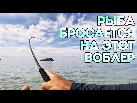 Видео: МАЛЕНЬКИЙ ВОБЛЕР ОТ TSURINOYA СДЕЛАЛ ЭТУ РЫБАЛКУ. ПОКЛЕВКИ ПОЧТИ НА КАЖДОМ ЗАБРОСЕ.