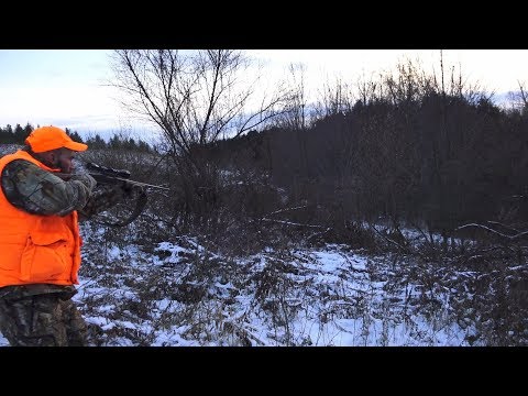 Видео: Охота на оленей и загоны на оленей: последний день сезона охоты на оленей в Пенсильвании 2018 год...