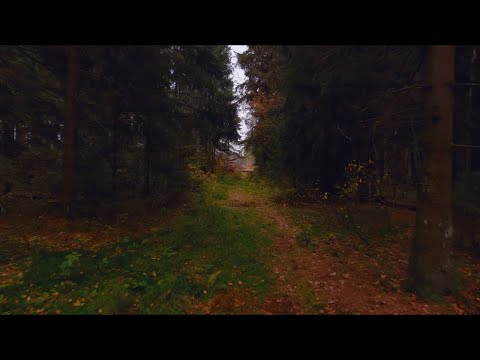 Видео: Autel evo 2 pro - этот лес...