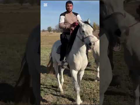 Видео: 31 октября 2025 г.