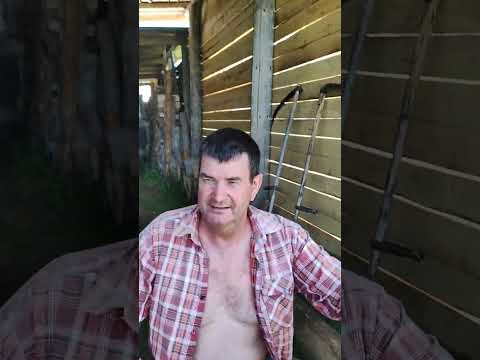 Видео: Хакасия. Прииск Неожиданный / Republic of Khakassia, Neozhidannyi