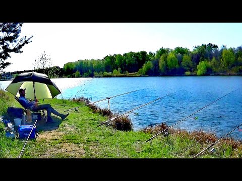 Видео: Рибалка на платніку,ця оснастка зробила мені рибалку.Фідер/поплавок/вбивця карася