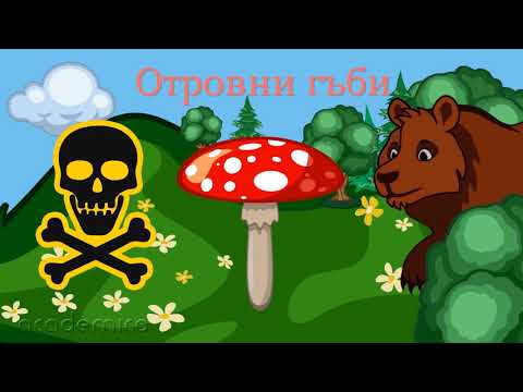 Видео: Гъбите в природата - Човекът и природата 3 клас | academico