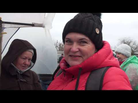 Видео: Жінки-голубоводи на ярмарку в Дніпрі