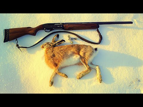 Видео: Зимен Лов край река Вит (Част-2) HD