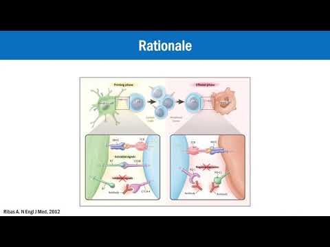 Видео: Иммунотерапия в лечении меланомы в 2020 году (Gal Markel)