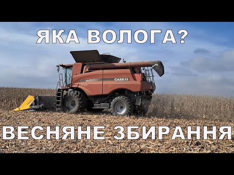 Видео: Підживлення озимої пшениці.  Кукурудза гарна культура, але... Як Хрущев вирощував кукурудзу.