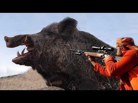 Видео: ГИГАНСКИЙ МОНСТР!  Великолепная охота на гигантского кабана