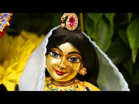 Видео: Виграха. Трансцендентное чтение (Занятие 62). Бхагавад гита. Сарвасатья