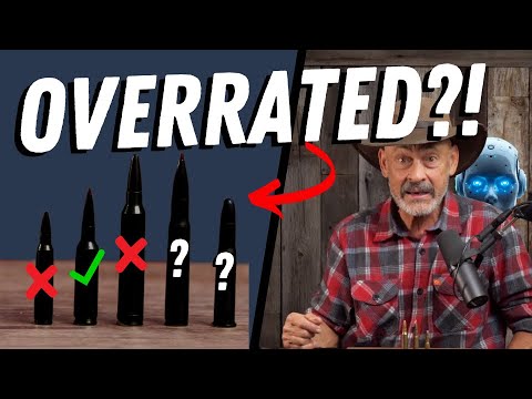Видео: ИИ называет эти картриджи ПЕРЕОЦЕНЕННЫМИ!