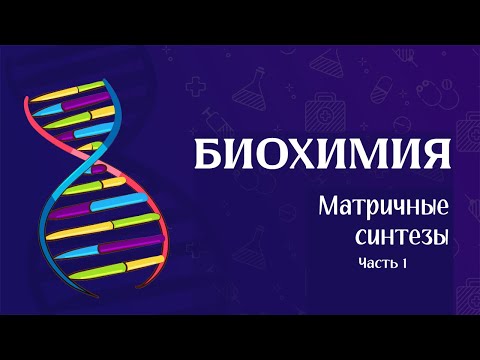 Видео: Биохимия | Матричные биосинтезы (репликация)