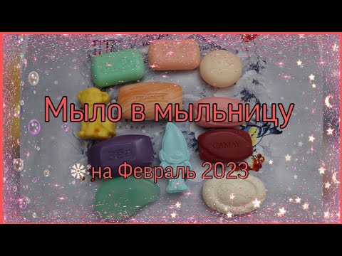 Видео: Мыльница на Февраль 2023 г. 🧼