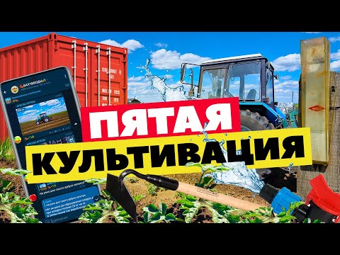 Видео: Пятая культивация прополка кормежка 💦🌱🍉🚜 26 06 22