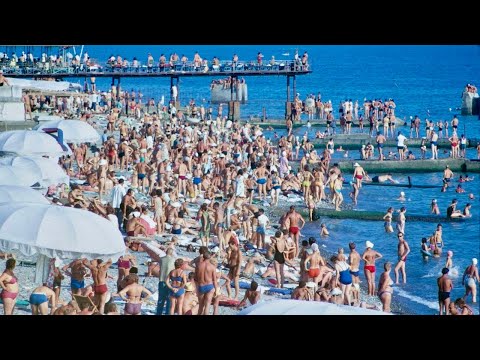 Видео: "Наш Сочи" выпуск 55