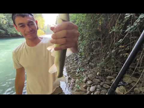 Видео: Ловля маринки на канале