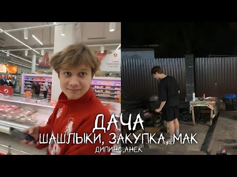 Видео: АНЕК И ДИПИНС НА ДАЧЕ! | ЗАКУПКА, ШАШЛЫКИ, МАК, РУМТУР