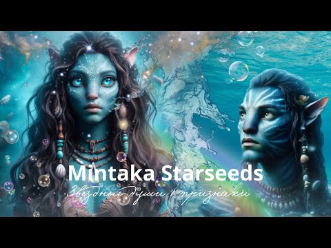 Видео: Mintaka Starseed | МИНТАКА. ЗВЕЗДНЫЕ ДУШИ 🪸🫧