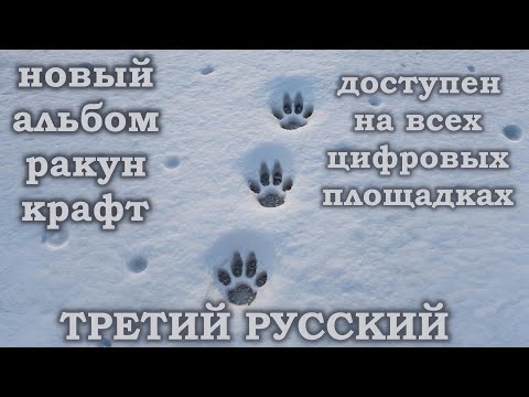 Видео: РАКУН КРАФТ - ТРЕТИЙ РУССКИЙ (2025) Новый альбом доступен на всех цифровых площадках!