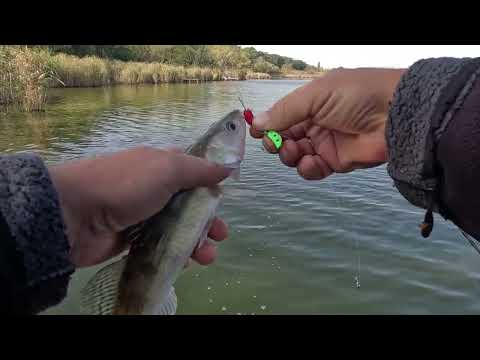 Видео: СУДАК НА ЖЕЛЕЗО ПОПАЛ НА ДЕТСАД