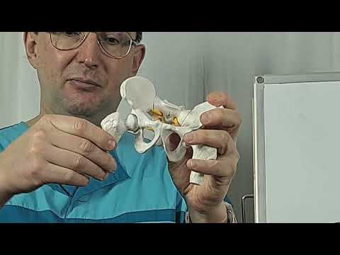 Видео: Исправляем кривые ноги Особенности растяжки средней ягодичной мышцы.