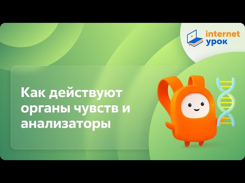 Видео: Как действуют органы чувств и анализаторы. Видеоурок по биологии 8 класс