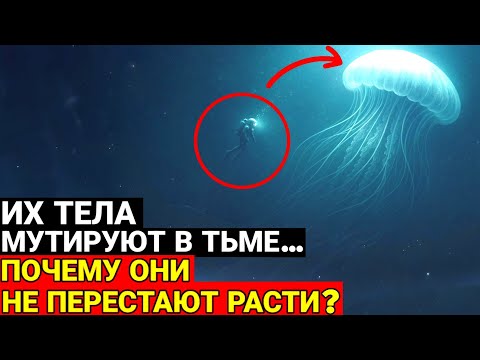 Видео: Почему в Антарктических океанах животные растут Бесконечно???