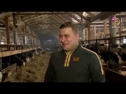 Видео: Дороги деревенские 10.08