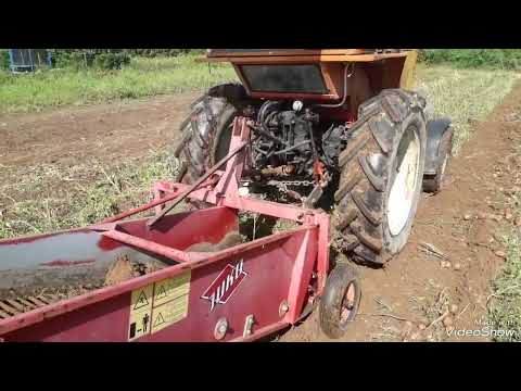 Видео: Урожай 2023г,копаем картошку.