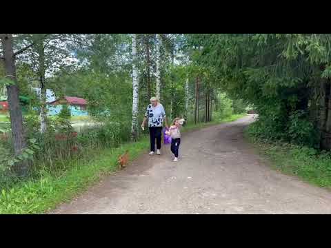 Видео: Экскурсия по пригороду рядом с городом клин обзор территории дачи обзор местного магазина