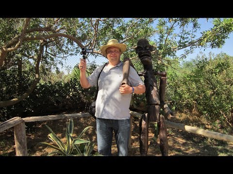 Видео: Зоопарк Фригия, Тунис, путешествие в огромный африканский ЗООПАРК ч. 2/ Friguia Zoo, Tunisia