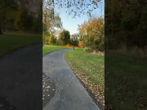 Видео: Лучший момент трансляции