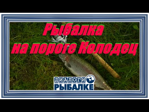 Видео: Диалоги о рыбалке - 016/ Рыбалка на пороге Колодец!