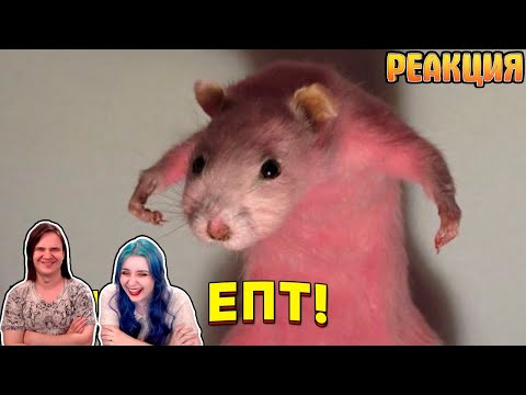 Видео: ЗАСМЕЯЛСЯ - ПОДПИСАЛСЯ!! ЛУЧШИЕ ПРИКОЛЫ 2021 ТЕСТ НА ПСИХИКУ УГАР! #445 | РЕАКЦИЯ НА @user-gd4xz9my3r |