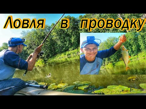 Видео: ЛОВЛЯ В ПРОВОДКУ НА ПОПЛАВОЧНУЮ УДОЧКУ/РЕКА СОК/САМАРА