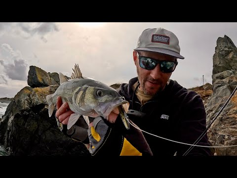 Видео: Ловля окуня на приманку | Небольшие приливы | Снова на скалах