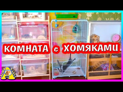 Видео: Рум-Тур по Комнате с Хомяками / Где ЖИВУТ Все Питомцы / Alisa Easy Pets