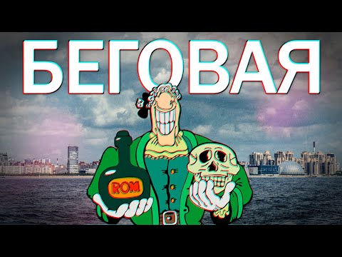 Видео: БЕГОВАЯ в Петербурге (пьяная гавань, собакина отмель и парк Z00-летия)