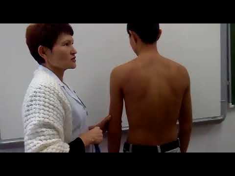 Видео: Өкпе аускультациясы - Ішкі аурулар пропедевтикасы