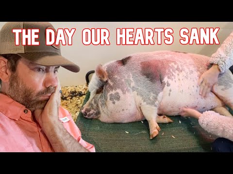 Видео: Мы думали, что потеряем ее!