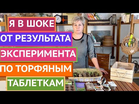 Видео: КАКИЕ ТОРФЯНЫЕ ТАБЛЕТКИ САМЫЕ ЛУЧШИЕ? БОЛЬШОЙ ЭКСПЕРИМЕНТ!