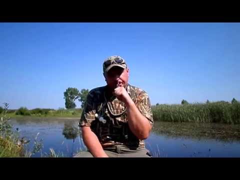 Видео: Как манить утку духовым манком. Звук КОРМЁЖКИ (фильм 3)