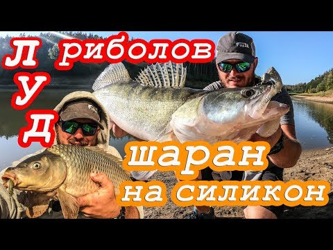 Видео: Риболов на бяла риба посред лято. Хванах шаран на силикон. ЕКШЪН риболов на язовир Ястребино
