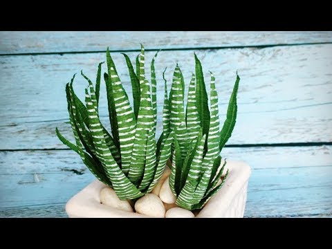 Видео: ABC TV | Как сделать Haworthia Attenuata из крепированной бумаги - учебник по ремеслу