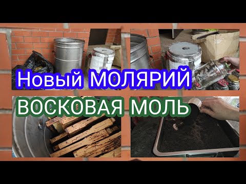 Видео: Разведение  ОГНЕВКИ (личинок восковой моли) для получения ферментоконцентрата (ПЖЛВМ). Доход от пчел