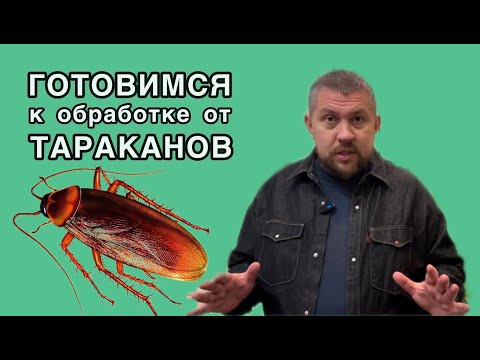 Видео: Как подготовиться к обработке от тараканов?