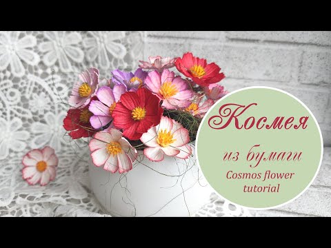 Видео: Космея из бумаги / Cosmos flower tutorial