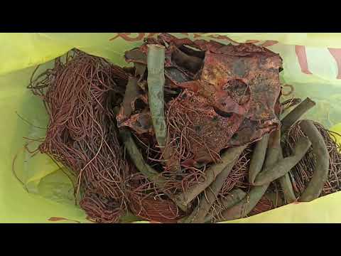 Видео: МЕТАЛОКОП 2025! РАЗБОР ЦВЕТМЕТА ЦЕНА В БЕЛАРУСИ