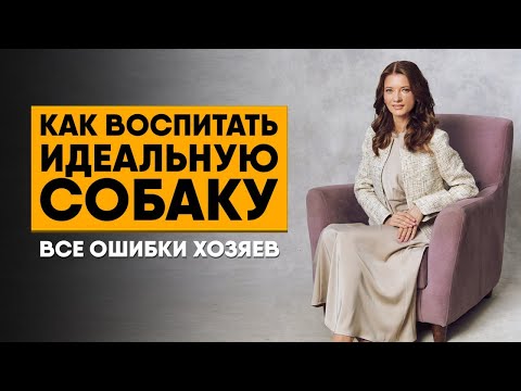 Видео: День зоопсихологии в Московском институте. «Мир глазами животного: среда, комфорт и безопасность»
