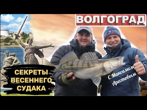 Видео: РАСКРЫВАЕМ СЕКРЕТЫ ЛОВЛИ ВЕСЕННЕГО СУДАКА! Рыболовная экспедиция в Волгоград. Максим Арестов.