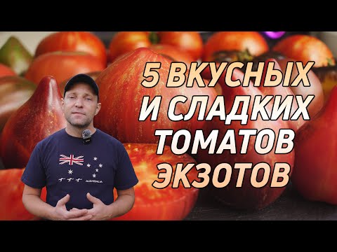 Видео: ТОМАТЫ, 5 ВКУСНЫХ B И СЛАДКИХ ЭКЗОТИЧЕСКИХ СОРТОВ!